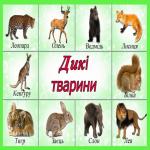 images/stories/doshkilya/59/1.jpg