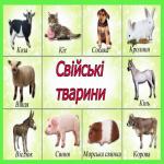 images/stories/doshkilya/59/2.jpg