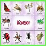 images/stories/doshkilya/59/5.jpg